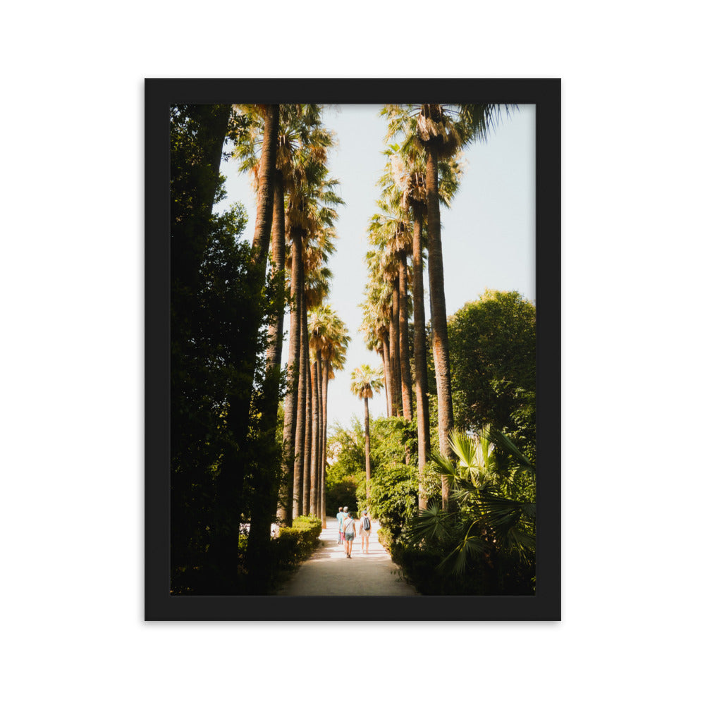 Palm Boulevard