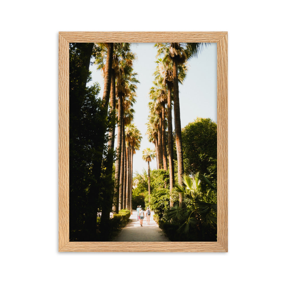 Palm Boulevard