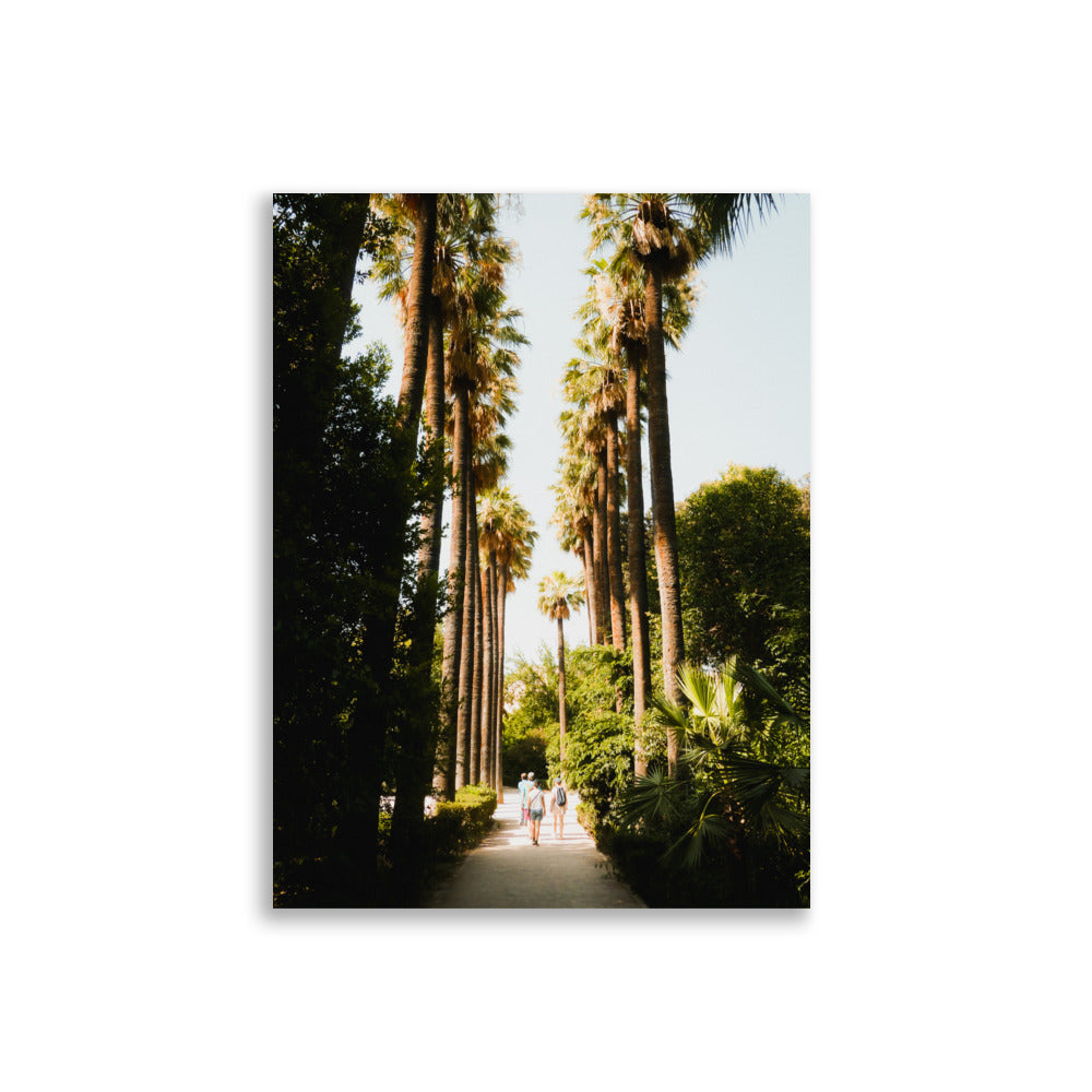 Palm Boulevard