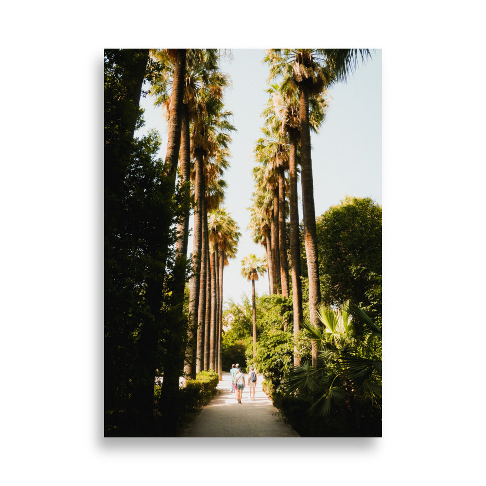 Palm Boulevard